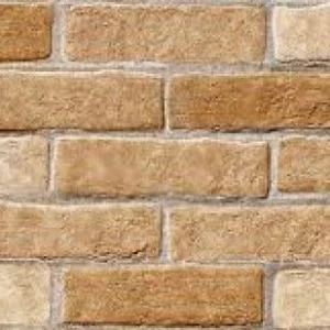Reverstimento Ceramico 31x60 Silicato Angelgres